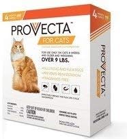 Advanced for Cats Over 9 Lbs. (4 dose), Orange