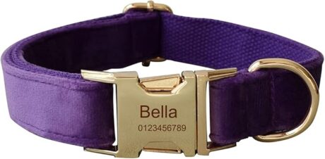 Dog Collar Custom Personalized Engraved Name and Phone Number for Puppy Small Medium Large Pets (L, Purple)