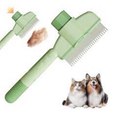 Cat Grooming