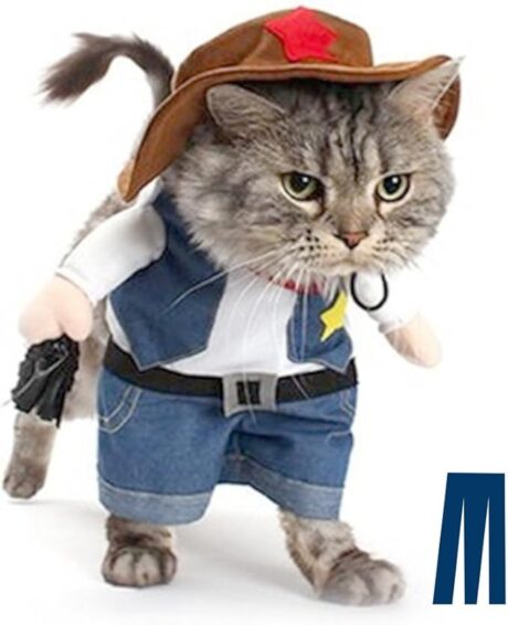 KOUPA Pet Halloween Costume with Hat, Dog Clothes Cosplay Wizard Cloak for Small Puppy Kitten Animal, Shiny Cat Outfit Suit for Party Holiday Christmas, Purple