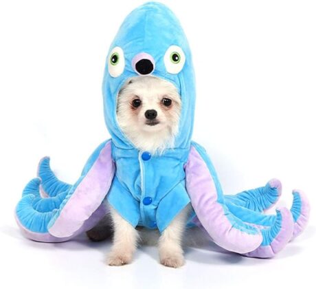 Mogoko Dog Cat Octopus Costumes, Pet Halloween Cosplay Dress, Funny Octopus Costume for Dogs Blue 12.6" Neck Girth; 16.1" Chest