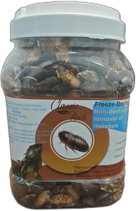 16oz Freeze-Dried Dubia - High Protein Reptile & Amphibian Food