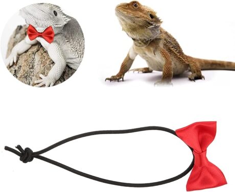 Bearded Dragons Bowtie Set, Bearded Dragon Leash Lovely Bow Tie Collar for Lizard Reptile Lizard Bow Leash Set Red Bowtie for Outdoor Hamsters Lizards Attending Parties