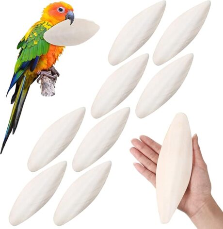 Fabbay 8 Pcs 7.5''-8'' Birds Cuttlebone Cuttlefish Bone Chewing Bird Toys Calcium Cuttlebone Bulk for Cockatiels Tortoise Reptile Turtles Snails Parakeet Treats Supplies