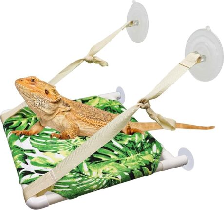 Bearded Dragon Window Perch, Lizard Window Hammock, Reptile Bed, Lizard Window Hammock, Reptile Tank Accessories, Suitable for Lizard Bearded Dragon Chameleon Kitten Guinea Pig Rat 12 × 11 Inches