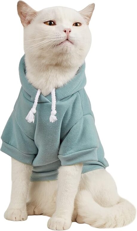 QWINEE Basic Dog Hoodie, Dog Warm Jacket, Cat Apparel, Dog Shirt, Dog Clothes for Puppy Kitten Small Medium Dogs Cats Cadet Blue M