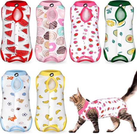 Kacctyen 6 Set Cat Recovery Suit After Surgery Female and Male Cat Surgery Suit Kitten Recovery Suit E Collar Alternative Pajama Cat Clothes for Spay Suit Abdominal Skin Anti Licking(Fruit,Large)