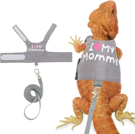 CUSOZWO Bearded Dragon Harness and Leash Set - Cute Lizard Reptile Small Animal Adjustable Harness Clothes with Short Leash for Walking Outdoor