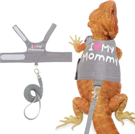 CUSOZWO Bearded Dragon Harness and Leash Set - Cute Lizard Reptile Small Animal Adjustable Harness Clothes with Short Leash for Walking Outdoor