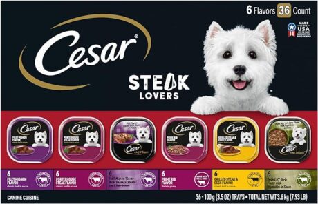 CESAR Adult Soft Wet Dog Food Steak Lovers Variety Pack with Real Meat, (36) 3.5 oz. Trays