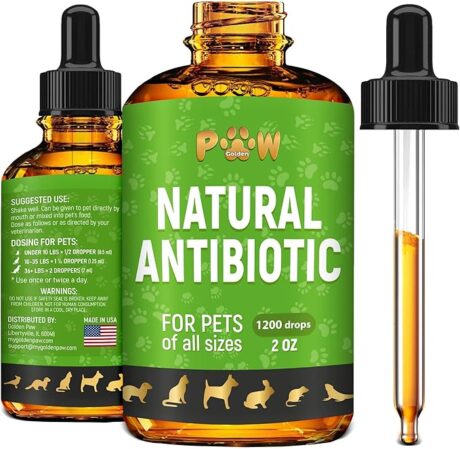 Antibiotics for Cats | Natural Antibiotics for Dogs | Cat Antibiotic | Antibiotics for Dogs | Dietary Supplement Pet Antibiotic | Cat and Dog Vitamins and Supplements | Dog Antibiotic | 2 Oz
