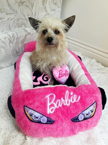 Barbie Plush Car Pet Bed- Themed Plush Pet Bed for Dogs and Cats – Soft and Cozy Pink Pet Bed with Barbie Pillow and Car Design