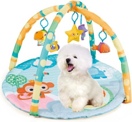 Puppy Paradise Play Gym