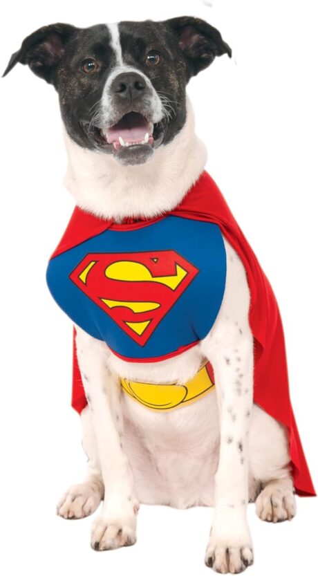 Rubies DC Comics Classic Superman Pet Costume for Themed Parties and Halloween, Small