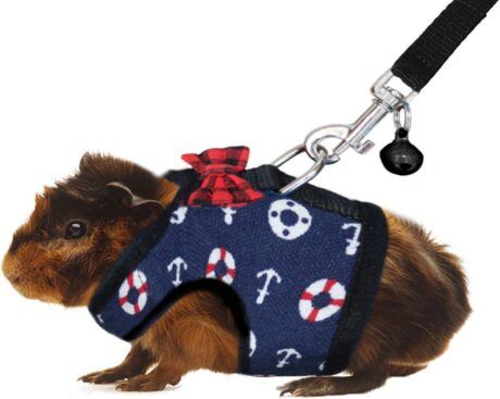Rypet Guinea Pig Harness and Leash - Soft Mesh Small Animal Harness with Safe Bell, No Pull Comfort Padded Vest for Guinea Pigs, Ferret, Chinchilla and Similar Small Animals