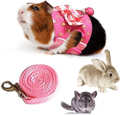 Small Animal Collar Leash Harness with Cute Bows and Bells Comfortable Durable Adjustable Suitable for Rabbit Guinea Pig Chinchilla Ferret Kitten Hamster Squirrel (Small,Pink Star)