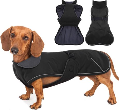 Dachshund Coat Reflective Dachshund Jacket - Black,Small - Waterproof Dachshund Clothes for Winter, Dog Winter Coat with Fleece Lining, Dachshund Coat Harness Hole Adjustable Buckle Closure