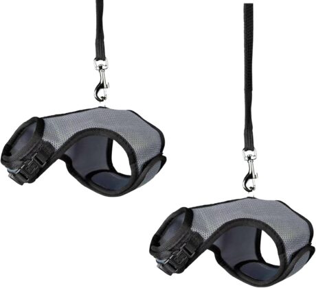 Guinea Pig Harness and Leash,Ferret Harness with Leash Soft Mesh Pet Harness for Small Bunny Guinea Pig, Hamster, Rats and Similar Small Animals Walking (Gray 2 Pieces)