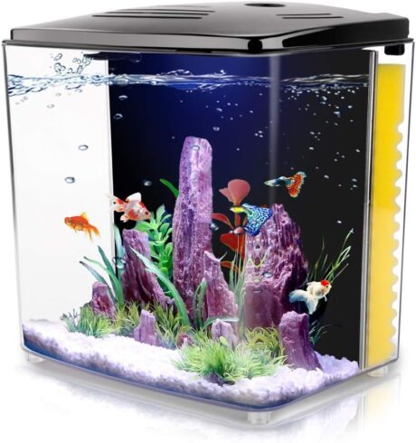 FREESEA 1.4 Gallon Betta Aquarium Starter Kits Square Fish Tank with LED Light and Filter Pump