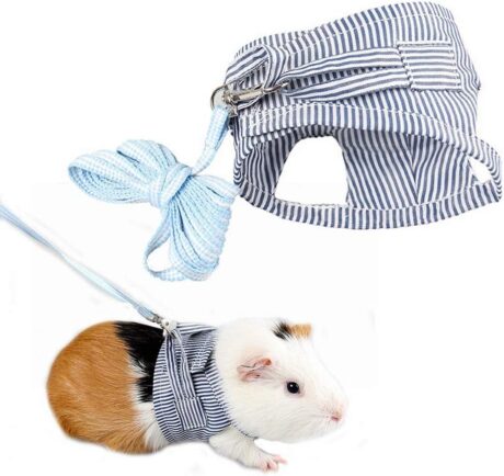 Small Pet Guinea Pig Rabbit Harness and Leash Blue Stripe Chest Strap Vest for Animals Guinea Pig Chinchilla Rabbit Rat Squirrel Hedgehog Ferret Outdoor Walking Clothes Accessory