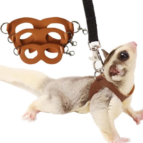 Meow&Woof 3 Pack Sugar Glider Harness and Leash Set Small Animal Training Walking Vest for Squirrel Hamster Rat