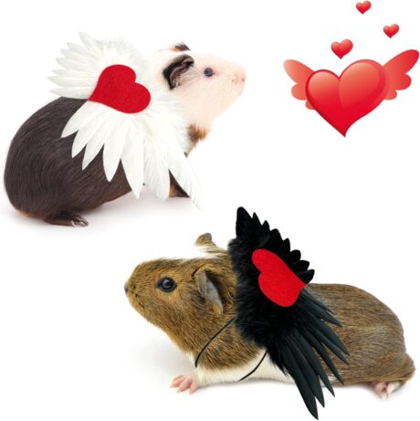 Vehomy 2Pcs Guinea Pig Valentine's Day Outfit Guinea pig Angel Wings with Love Heart Costume Small Pet Love Heart Angel Wings Costume Vest Harness for Ferret Guinea pig