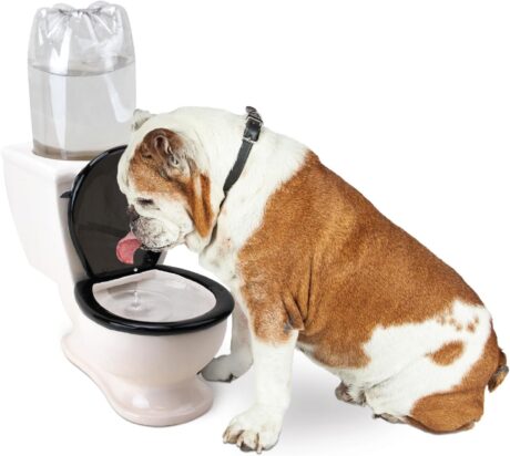 BigMouth Inc The Toilet Water Dish for Pets, Ceramic, Holds 2L Bottle, Funny Bowl for Dogs and Cats