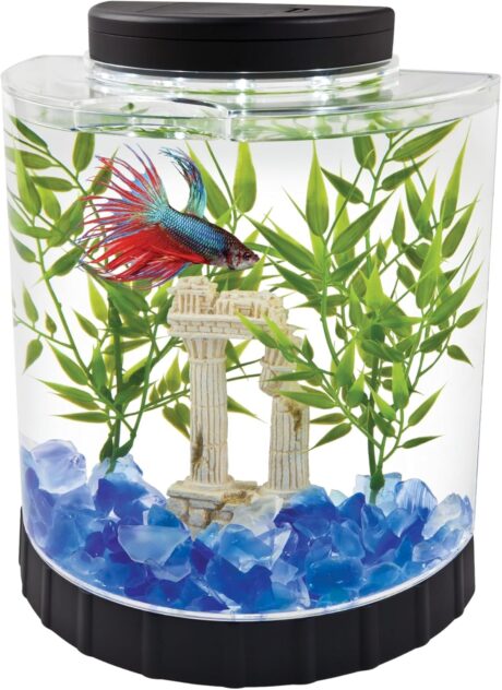 Tetra 1 Gallon Half Moon Small Fish Tank w/ Movable LED Light, For Betta & Gold Fish, Aquarium Starter Kit