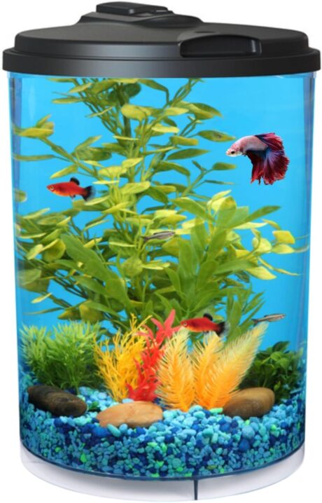 Koller Products 3-Gallon 360 Aquarium with LED Lighting (7 Color Choices) and Power Filter, Ideal for a Variety of Tropical Fish,Crystal-Clear Clarity,AP360A-3FFP