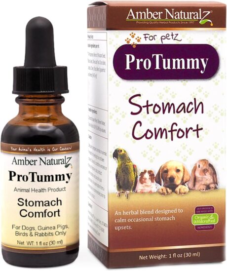 Amber NaturalZ ProTummy Stomach Comfort Herbal Blend for Dogs, Bird, Guinea Pigs, and Rabbits | Herbal Supplement for Occasional Upset Stomach | 1 Fluid Ounce Glass Bottle | Manufactured in The USA