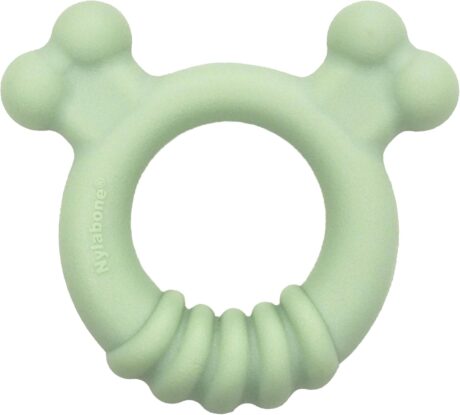 Nylabone Sensory Material Puppy Chew Toy Ring - Puppy Teething Toy for Boredom & Stimulation - Puppy Supplies - Chicken Flavor, Small/Regular (1 Count)