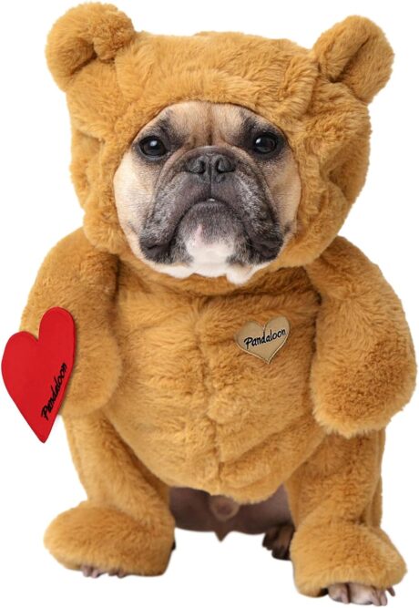 Pandaloon Dog Halloween Costume - As Seen on Shark Tank - Patented - Funny Costume with Arms for Small and Medium Dogs and Cats (Teddy Bear, Size 3(17-19 in Height at TOP of Head,Girth<22 in))