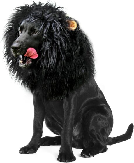 Onmygogo Lion Mane Wig for Dogs with Ears, Funny Pet Costumes for Halloween Christmas (Size L, Black)