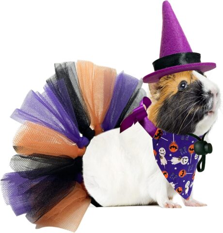 3Pcs Guinea Pig Halloween Costume Small Animals Witch Hat Halloween Bandana Triangle Scarf with Halloween Pumpkin Patterns Pet Tutu Skirt Pet Halloween Costume for Guinea Pig Chinchilla