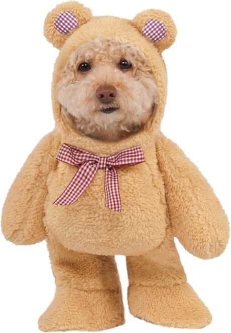 Rubies Walking Teddy Bear Pet Costume, Small for Themed Parties and Halloween