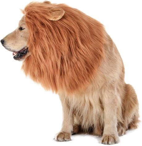 Realistic & Funny Lion Mane for Dogs - Complementary Lion Mane for Dog Costumes for Medium to Large Sized Dogs