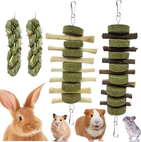 Rabbit Guinea Pig Bunny Chew Toys for Teeth Grinding Cage Hanging Toy Organic Rabbit Treats for Bunny Chinchillas Hamsters(Bamboo+Apple Sticks+Alfalfa Cakes+Timothy Hay) (2 PCS)