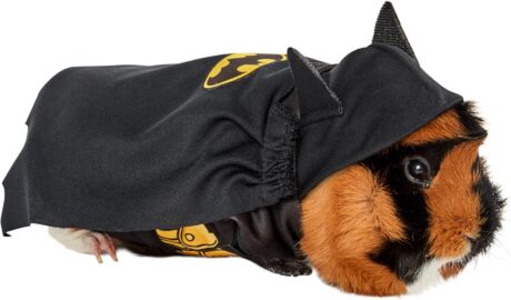 Rubie's DC Comics Batman Small Pet Costume, As Shown, Extra-Small