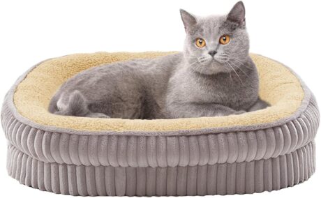 Orthopedic Dog Bed for Puppy,Extra Small Dogs Breeds,Oval Cat Bed,High Density Egg Crate Foam Dog Sofa Beds,Pet Couch Bed with Four Sided Bolster,Removable Washable Cover&Non-Slip Bottom