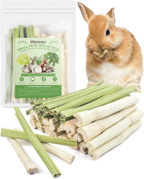 Bissap 40PCS Rabbit Chew Sticks, 20PCS Sweet Bamboo Chew Sticks & 20PCS Papaya Stems Bunny Chews for Rabbit Hamster Chinchilla Guinea Pig Small Animals Natural Molar Treats