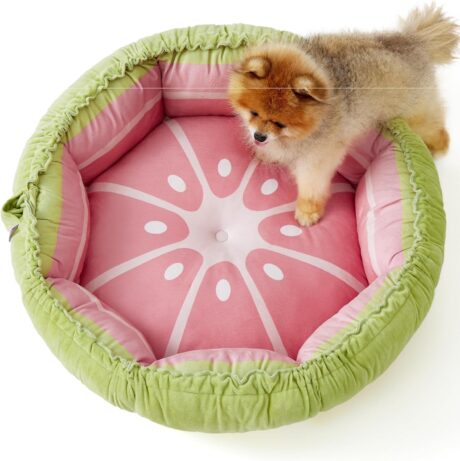 Lesure Dog beds for Small Dogs - Washable Cute Cat Beds with Versatile Dual-Use Design, Reversible Round Pet Bed for Puppy and Kitten, 25x25x8 Inches