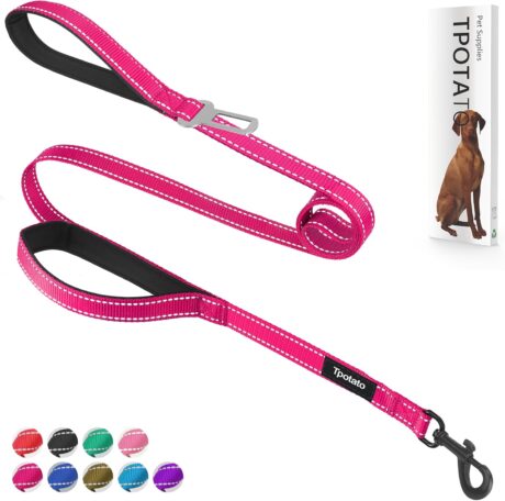 6 Foot Fuchsia Dog Leashes for Large Medium and Small Breed Dogs That Pull,Reflective Nylon Heavy Duty Dog Leash with 2 Comfortable Padded Traffic Handles and Car Seat Belt for Walking and Training