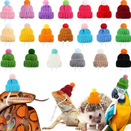20 Pcs Pet Snake Hat with Adjustable Elastic Chin Strap, Small Reptile Animal Hamster Knitted Hat Pompon Mini Hats for Pets Snake Ball Python Lizard Guinea Pig Chameleon Iguanas Accessories Decoration