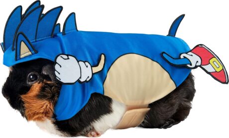 Rubie's Sonic Small Pet Costume, As Shown, Extra-Small