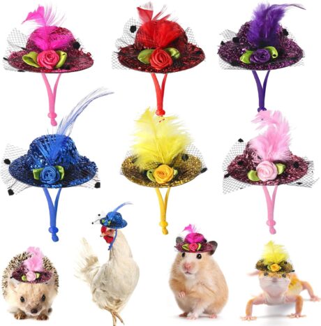 Chicken Hat for Hens 6pcs Mini Cap with Adjustable Elastic Chin Strap Small Animal Hat for Guinea Pig Snake Hedgehog Lizards Bearded Dragons Hamster Parrot Photo Props Accessories