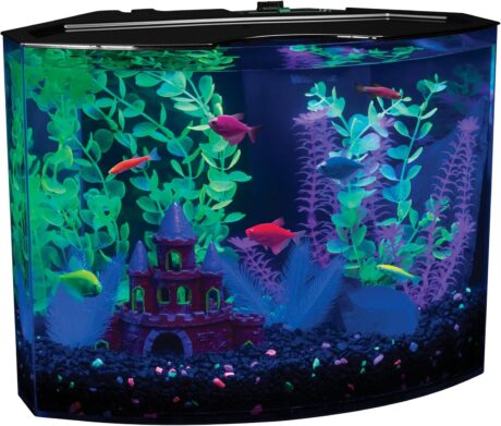 GloFish Crescent Aquarium Kit 5 Gallons, Includes Hidden Blue LED Light And Internal Filter