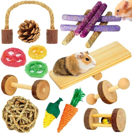Hamster Toys, Guinea Pig Toys, 18 Pcs Wooden Hamster Toy Set Natural Apple Wood Small Animal Chew Molar Toys for Teeth for Rabbit, Chinchilla, Gerbils, Rats Exercise Accessories