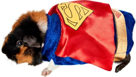 Rubie's DC Comics Superman Small Pet Costume, As Shown, Extra-Small