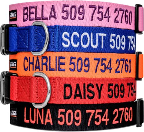 GoTags Personalized Dog Collar, Custom Embroidered Collar with Pet Name and Phone Number in Blue, Black, Pink, Red and Orange, for Boy and Girl Dogs or Cats, Adjustable Sizes, Small, Medium, and Large